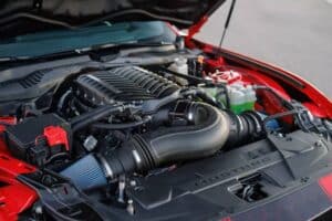 Shelby-Super-Snake-R-18