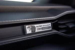 Shelby-Super-Snake-R-21