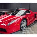 ferrari enzo plysimo