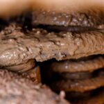 ford ranger super duty mud testing 07