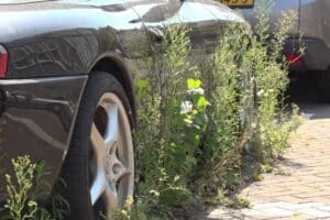 abandoned porsche 911 04