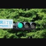 japan green light 08