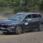 Suzuki S-Cross 1.4 Boosterjet 110 hp 4WD auto (10)