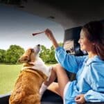 2026-Honda-Fit-China-18-2048x999