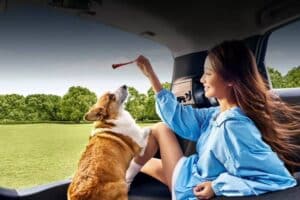 2026-Honda-Fit-China-18-2048×999