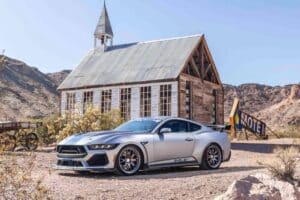 612794609_1175180938158907_8806157886669212826_n