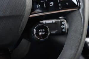 Renault Austral E-Tech 200 (31)