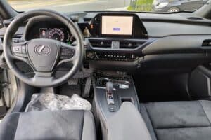 Lexus UX 300h AWD 2024 (2)