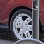 teddy bear wheels 06