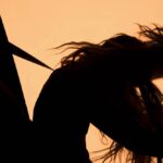 volvo-active-safety-belt