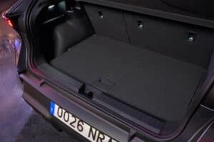 Cupra-Raval-12