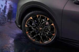 Cupra-Raval-6