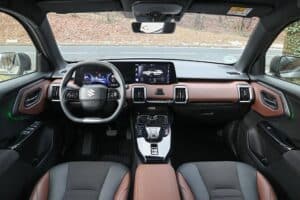 Suzuki e Vitara (8)