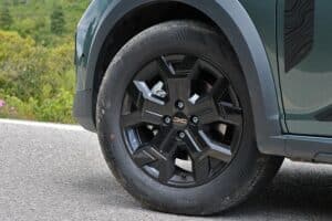 Dacia Sandero Stepway ECO-G 120 (11)