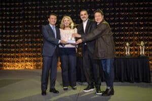 hyundai ioniq 6 awards (10)