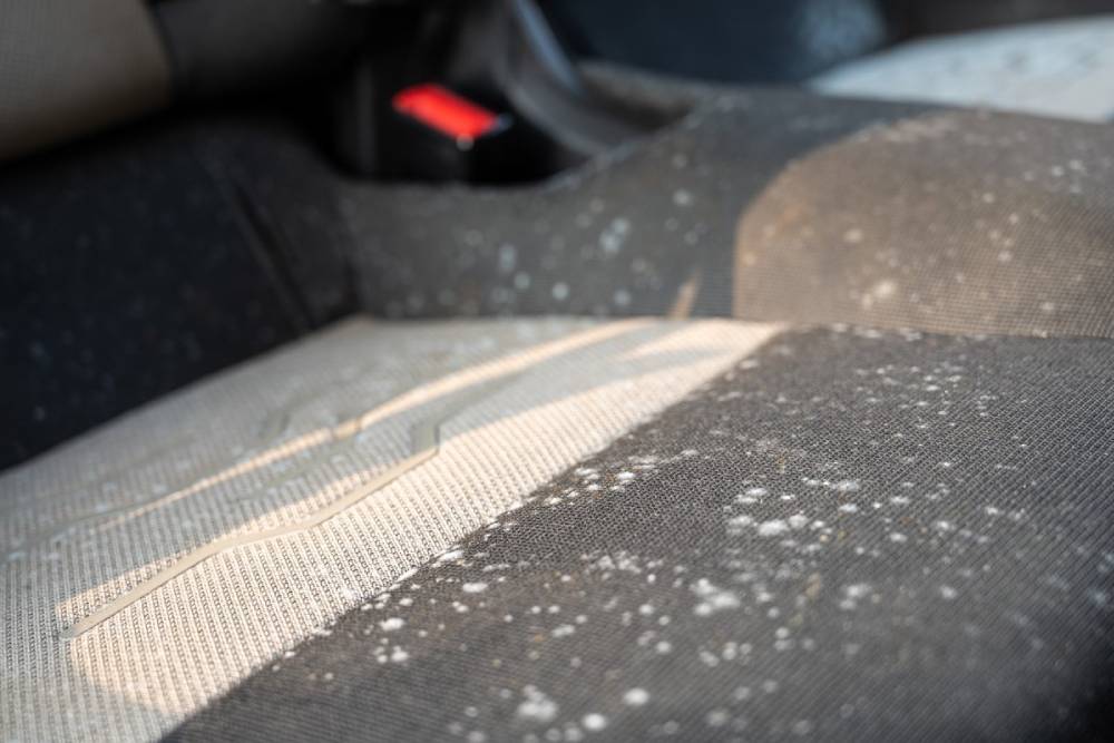 https://autogreeknews.gr/wp-content/uploads/2026/06/mold-in-the-car-02.jpg