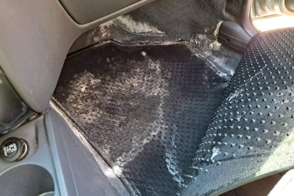 https://autogreeknews.gr/wp-content/uploads/2026/06/mold-in-the-car-03.jpg