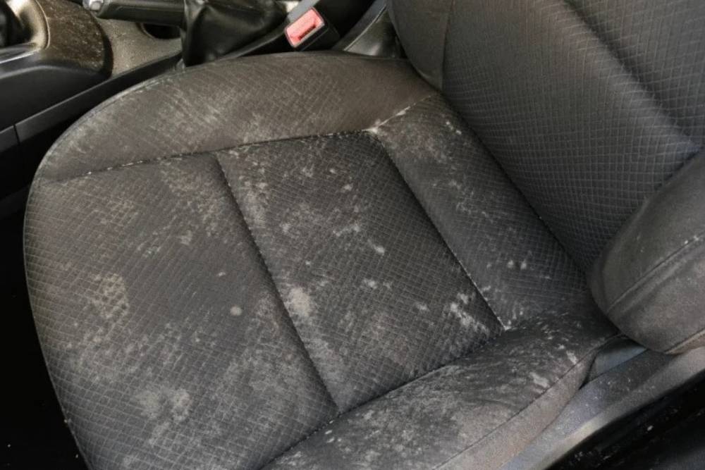 https://autogreeknews.gr/wp-content/uploads/2026/06/mold-in-the-car.jpg