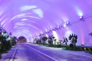 tree tunnel 02