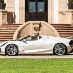 Bugatti-W16-Mistral-End-Of-Production-2-copy-2048x