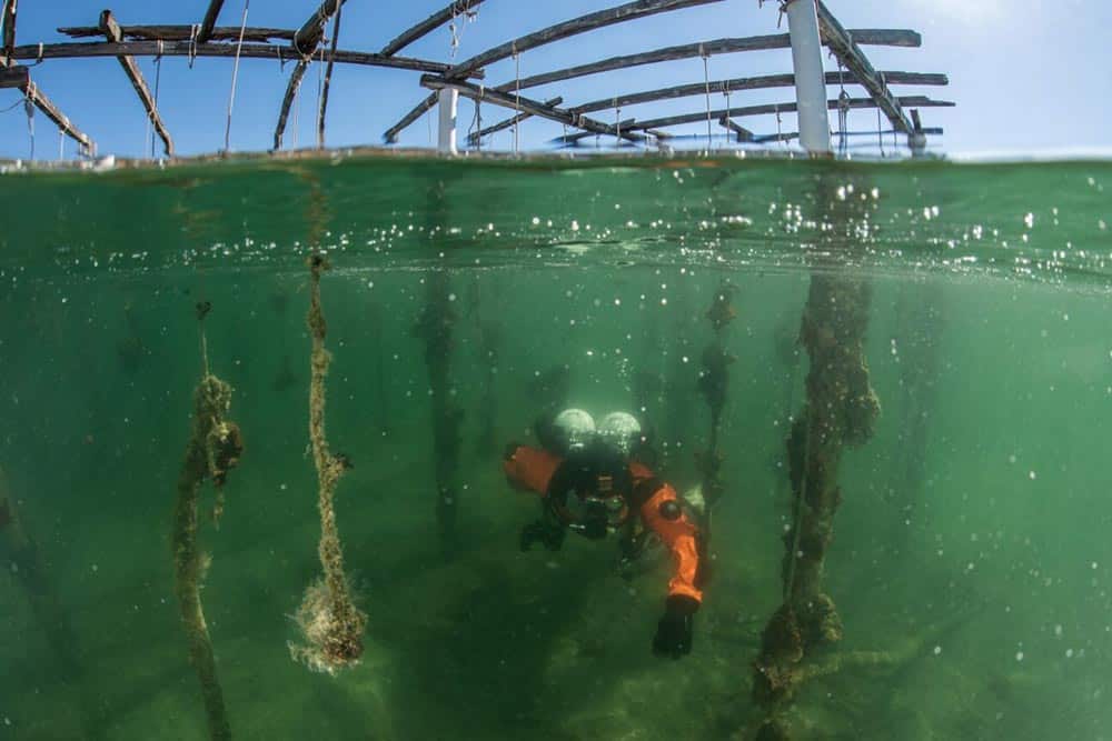https://autogreeknews.gr/wp-content/uploads/2026/08/Healthy-Seas-3.jpg