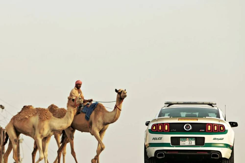 https://autogreeknews.gr/wp-content/uploads/2026/08/dubai-police-cars-05.jpg