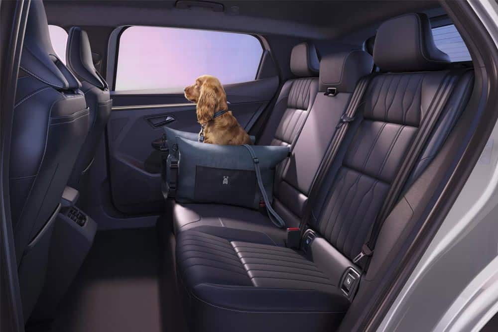 https://autogreeknews.gr/wp-content/uploads/2026/09/Renault-Scenic-2026-4.jpg