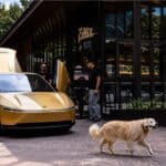 tesla robotaxi