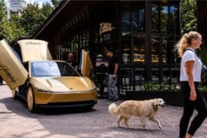 tesla robotaxi